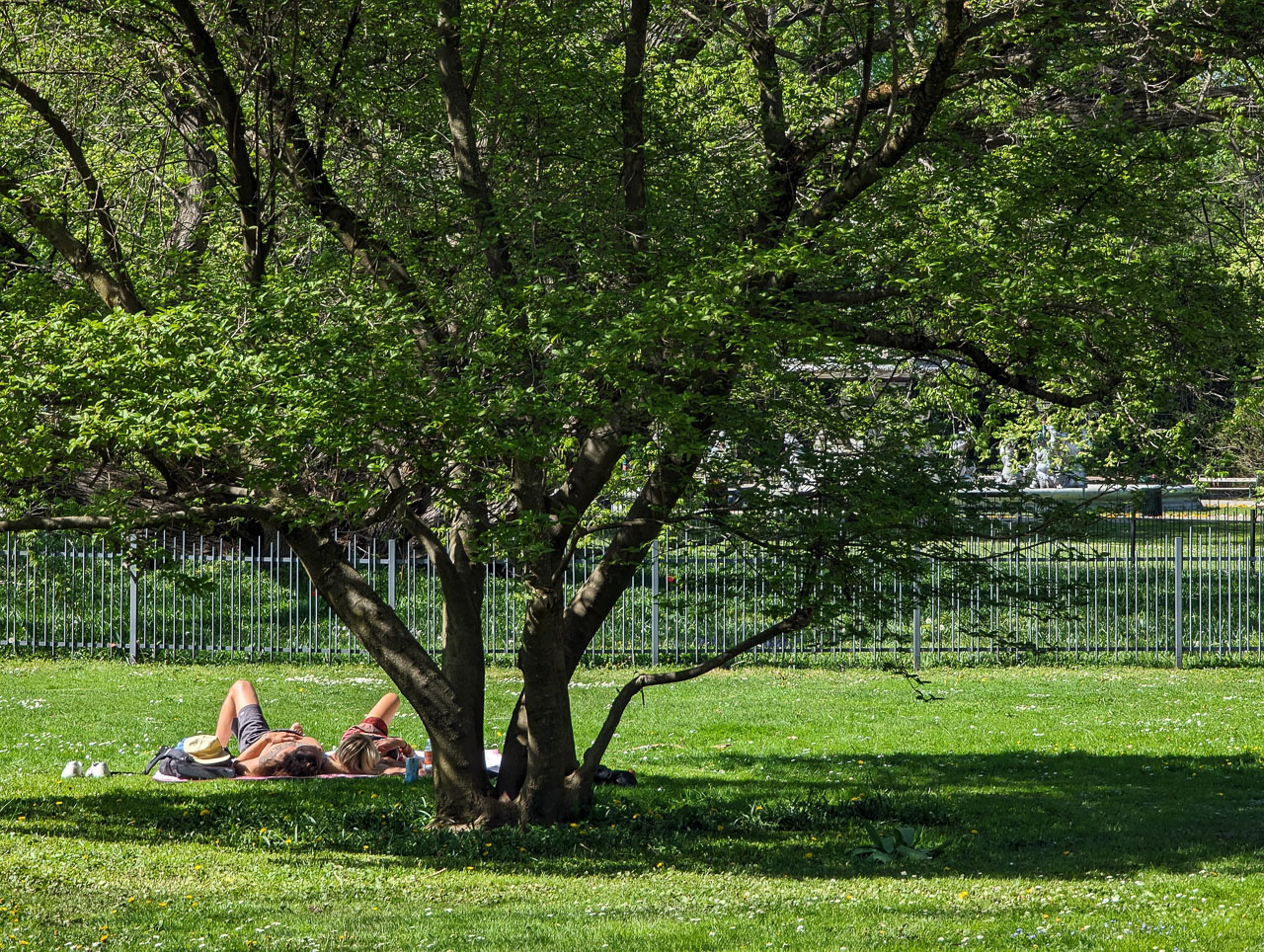 Schatten im Park